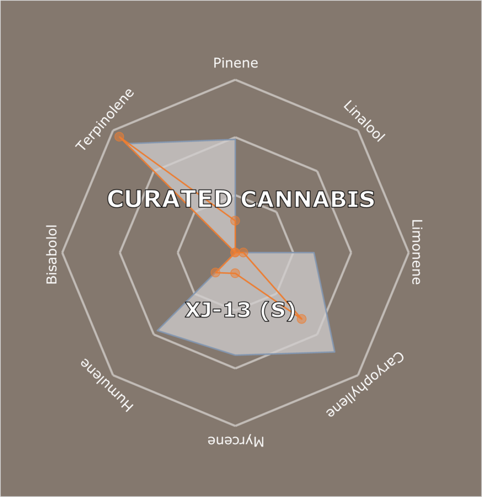 "XJ-13 Live Cured Flower Cultivar Terpene Compass"