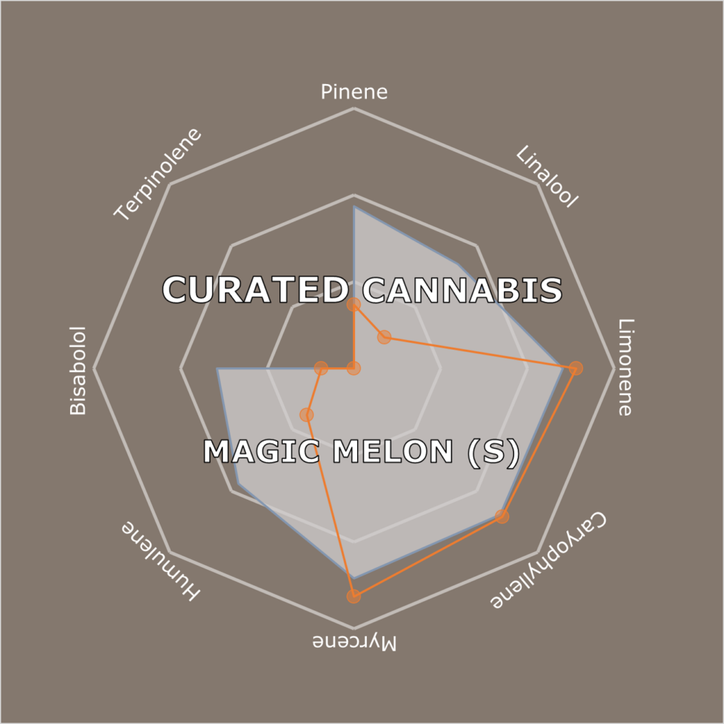 "Magic Melon Live Cured Flower Cultivar Terpene Compass"