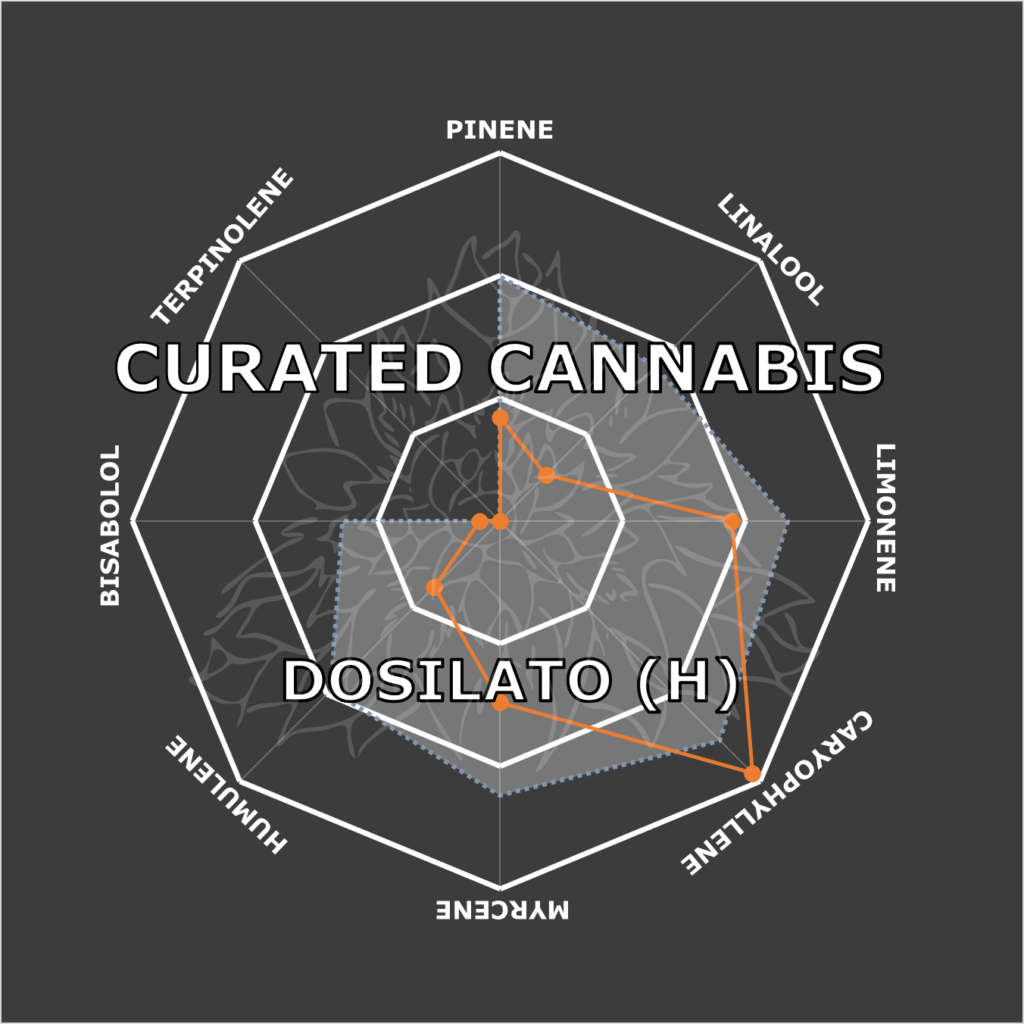 "Dosilato Live Cured Flower Cultivar Terpene Compass"