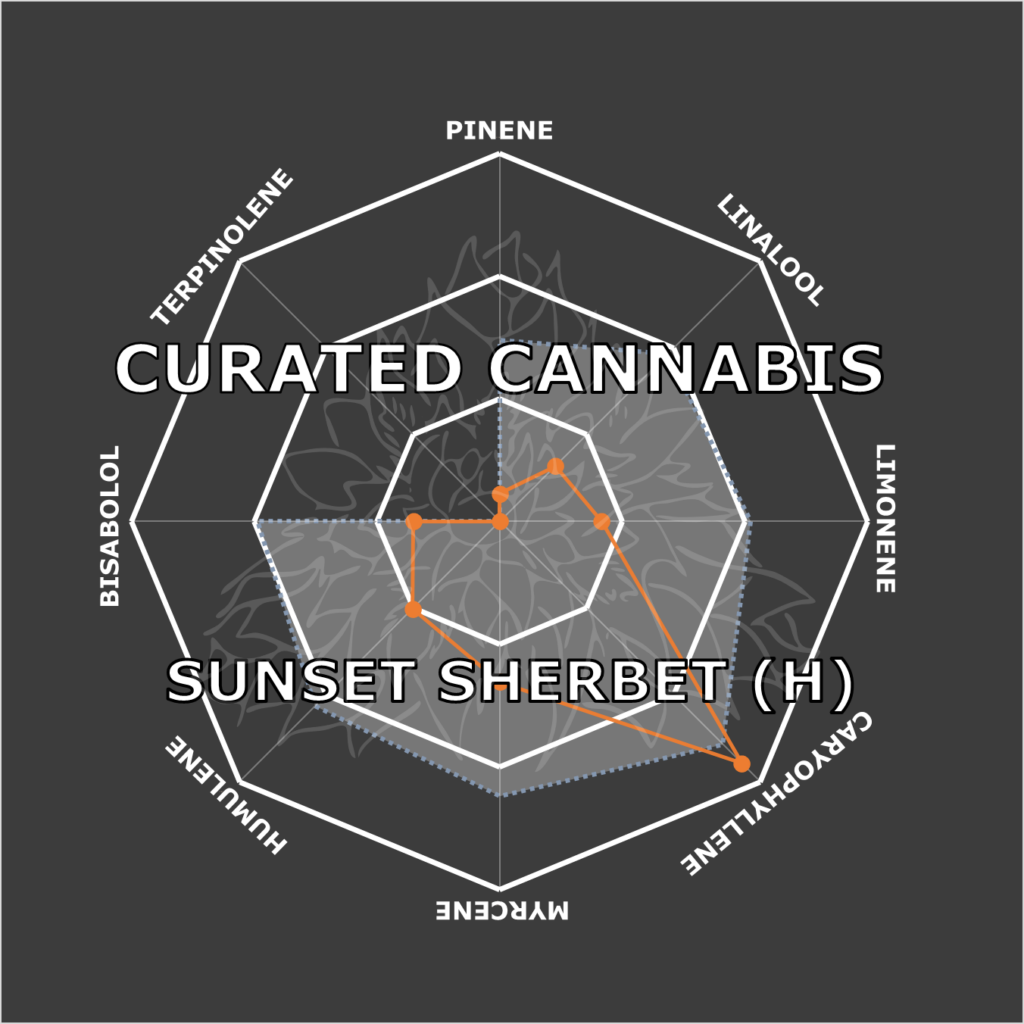 "Sunset Sherbet Live Cured Flower Cultivar Terpene Compass"