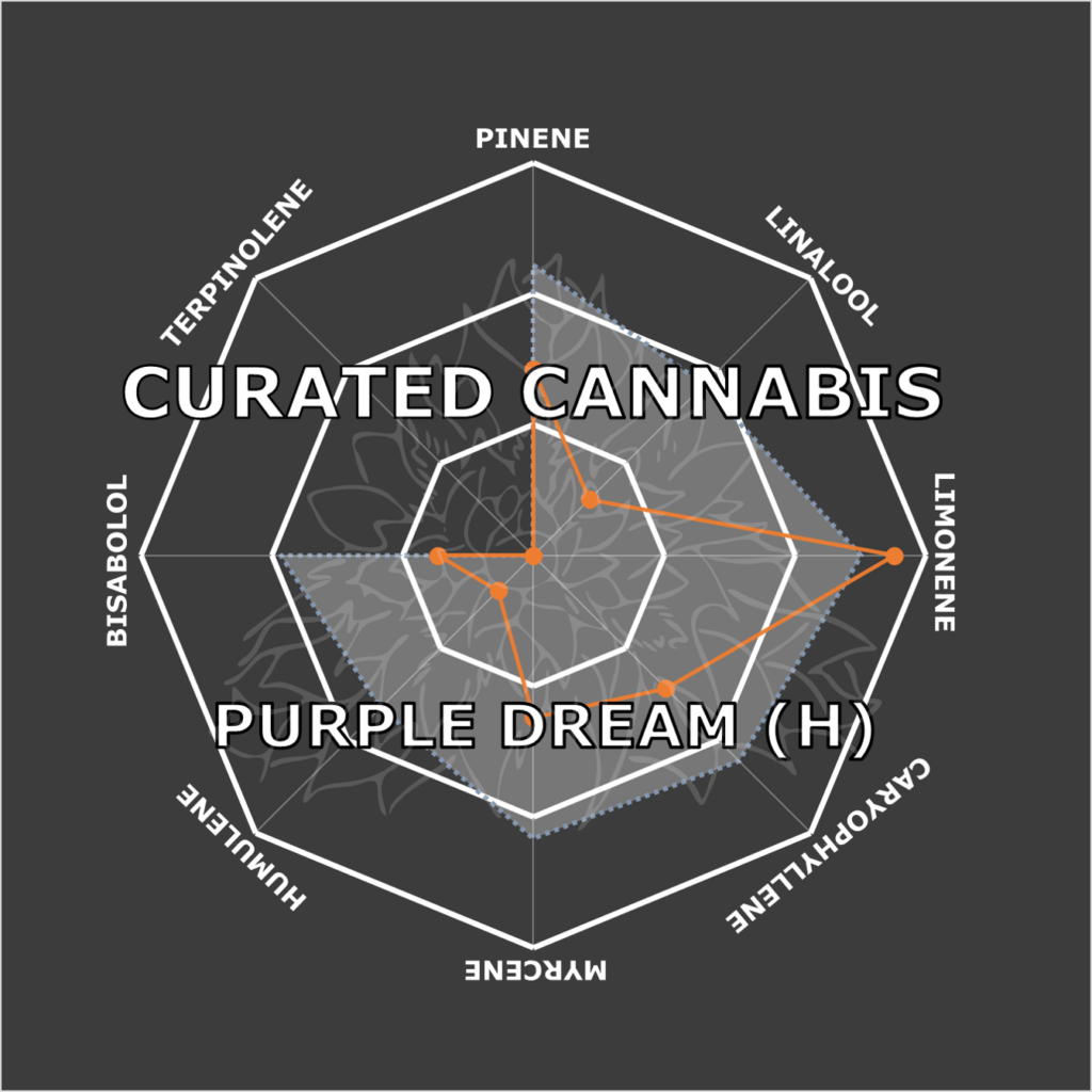 "Purple Dream Live Cured Flower Cultivar Terpene Profile"