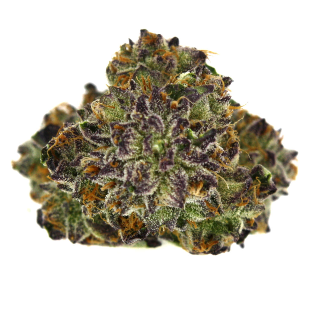 "Bubba Diagonal Live Cured Flower Cultivar Top Down"