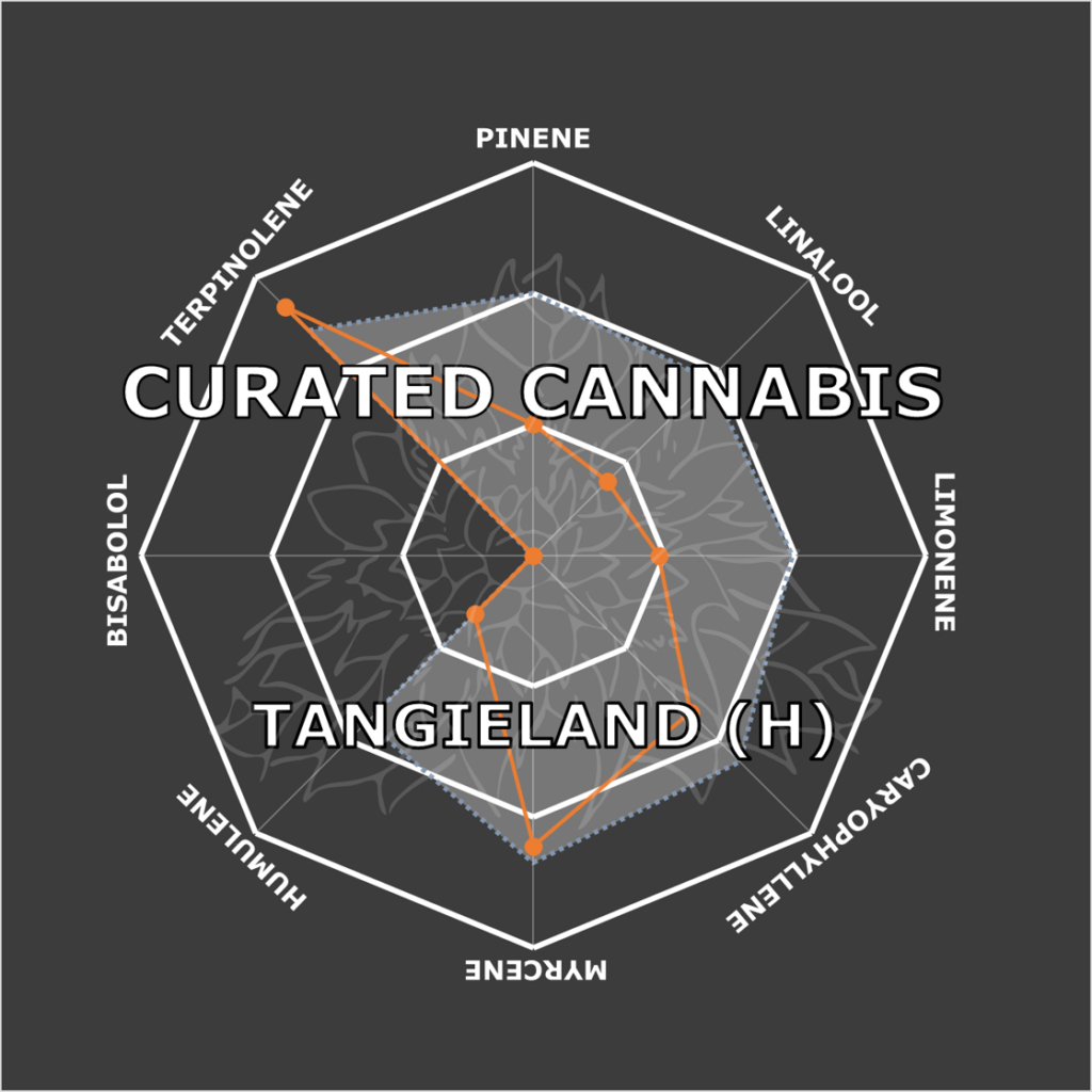 "Tangieland Live Cured Flower Cultivar Terpene Compass"