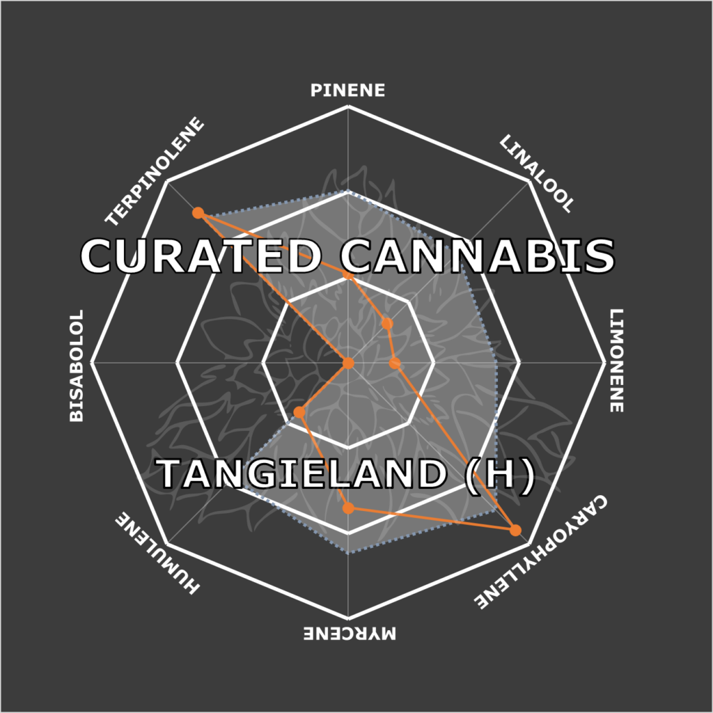 "Tangieland Live Cured Flower Cultivar Terpene Compass"