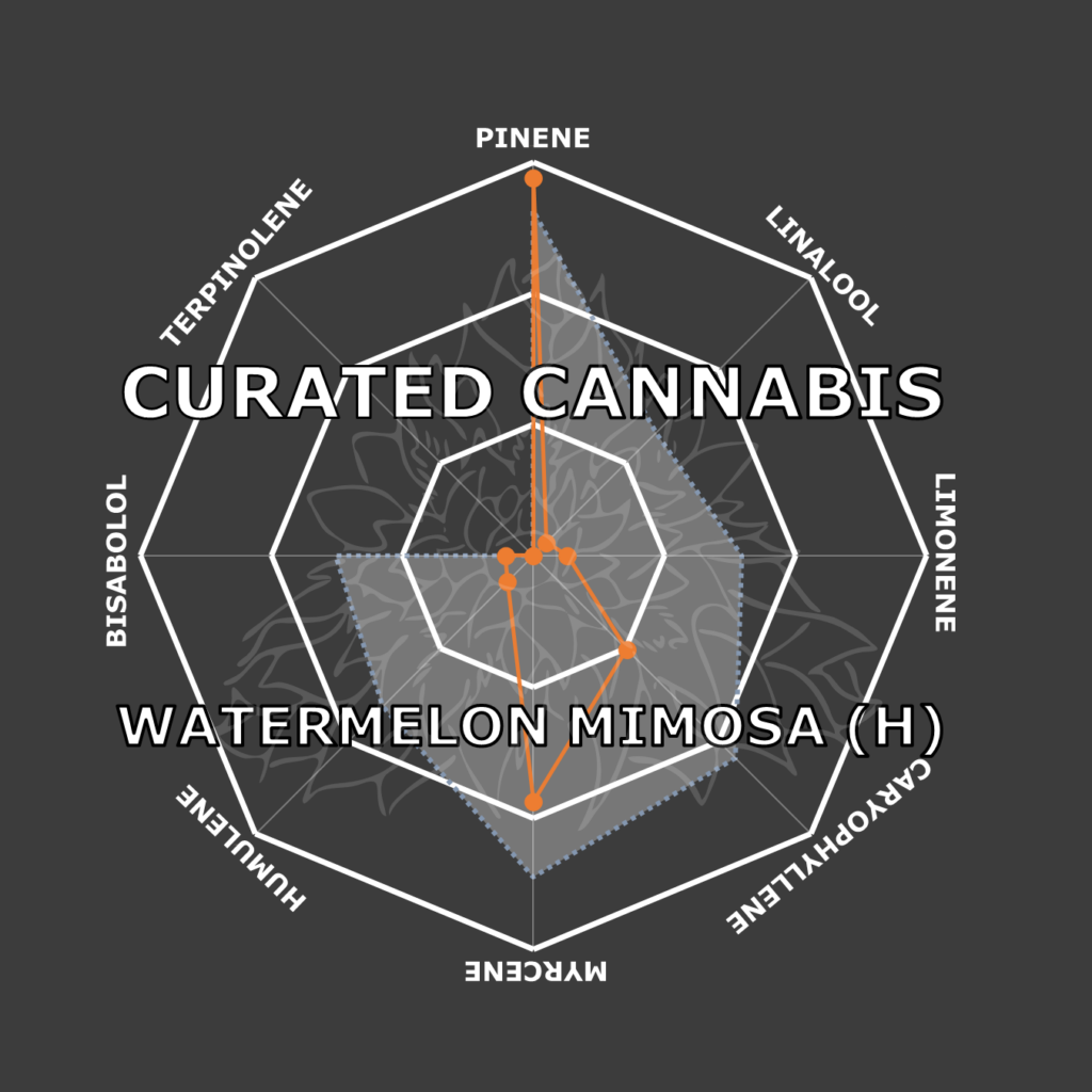 "Watermelon Mimosa Live Cured Flower Cultivar Terpene Compass"