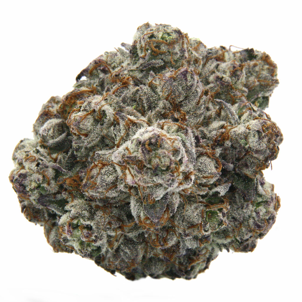 "Julius Caesar Live Cured Flower Cultivar Top Down"