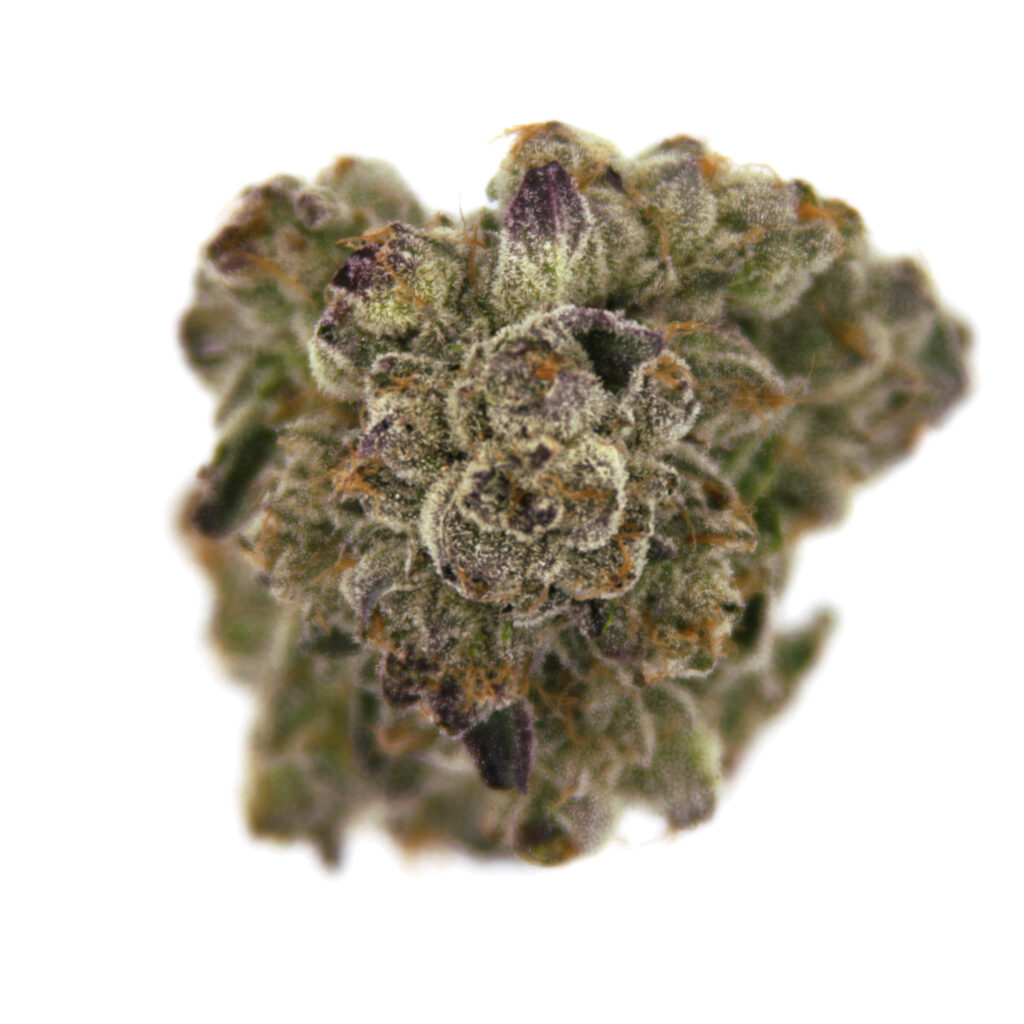 "Dosilato Live Cured Flower Cultivar Top Down"