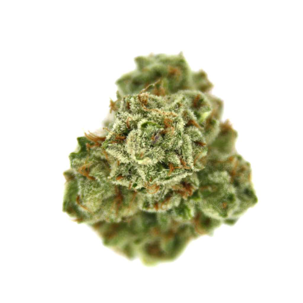 "Strawberry Banana Live Cured Flower Cultivar Top Down"