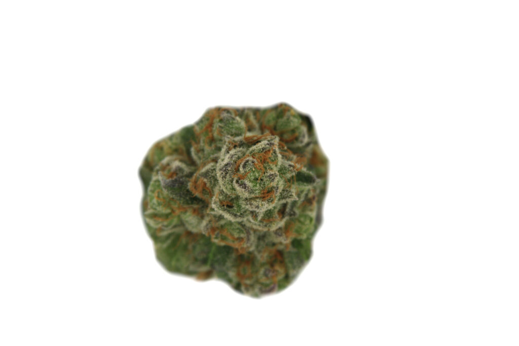 "Wedding Pie Live Cured Flower Cultivar Top Down"