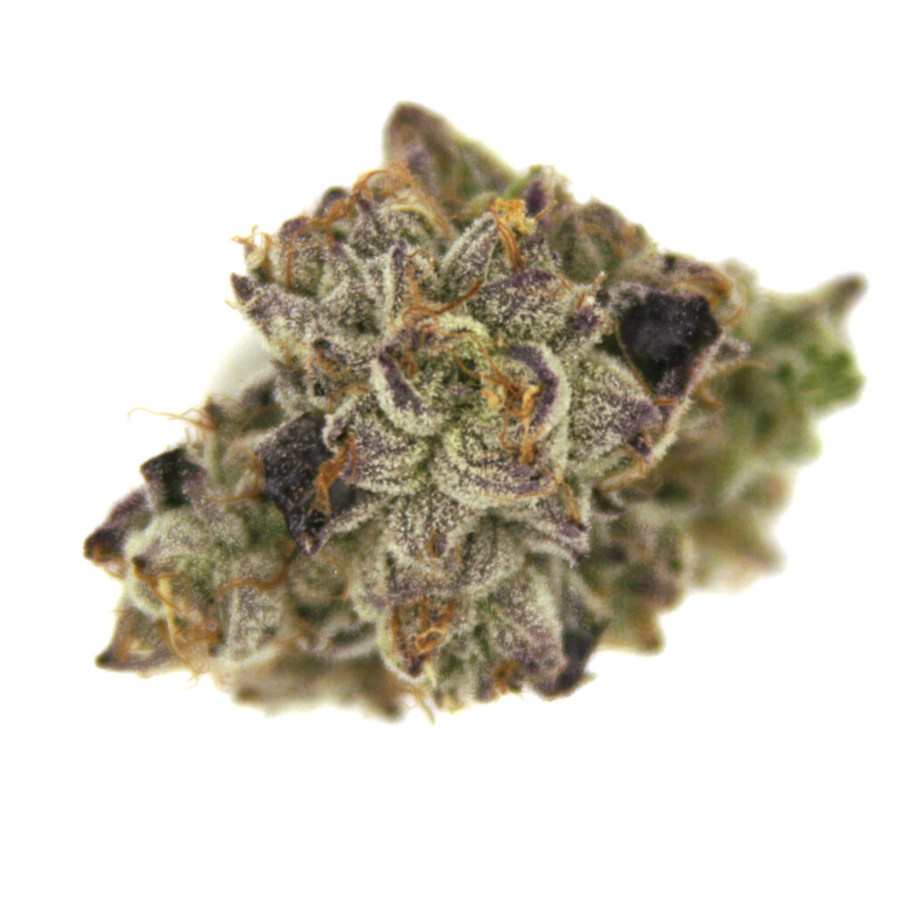 "Wedding Cake Live Cured Flower Cultivar Top Down"