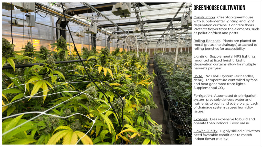 Overview of Greenhouse Cannabis Cultivation.