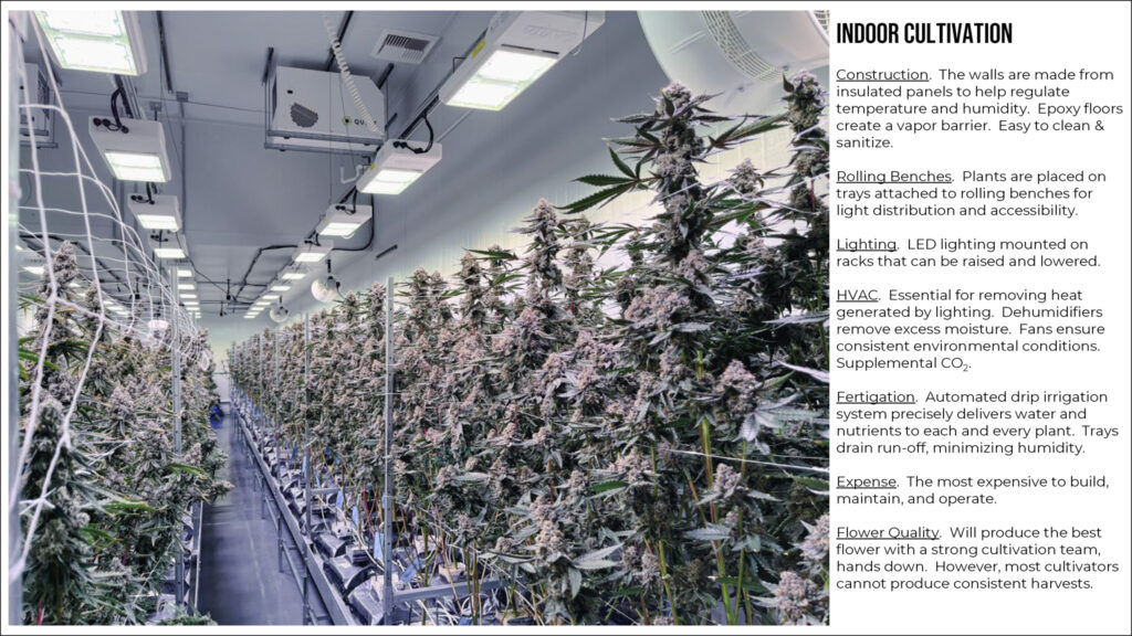 Overview of Indoor Cannabis Cultivation.