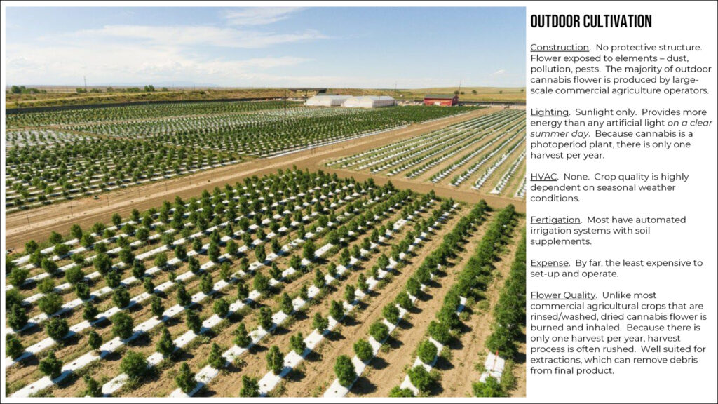 Overview of Outdooor Cannabis Cultivation.