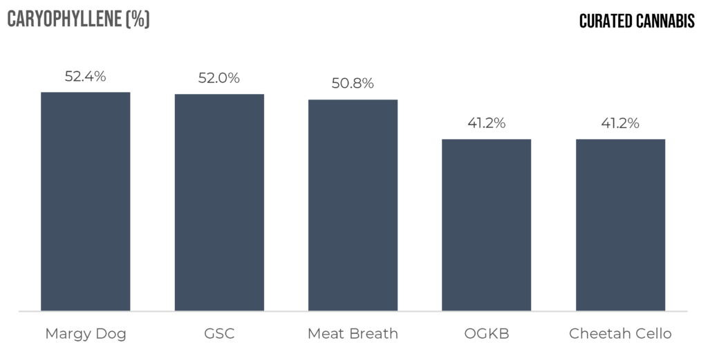 "Comparing Curated Cannabis cultivars containing Caryophyllene"