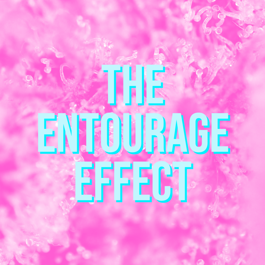 "The entourage effect"