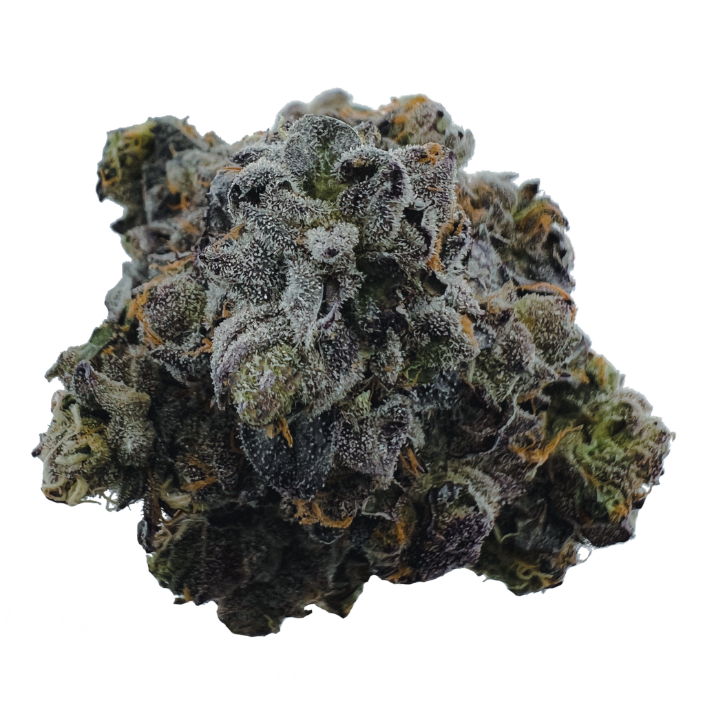 "Top down photo of the cultivar Sunset Sherbet"