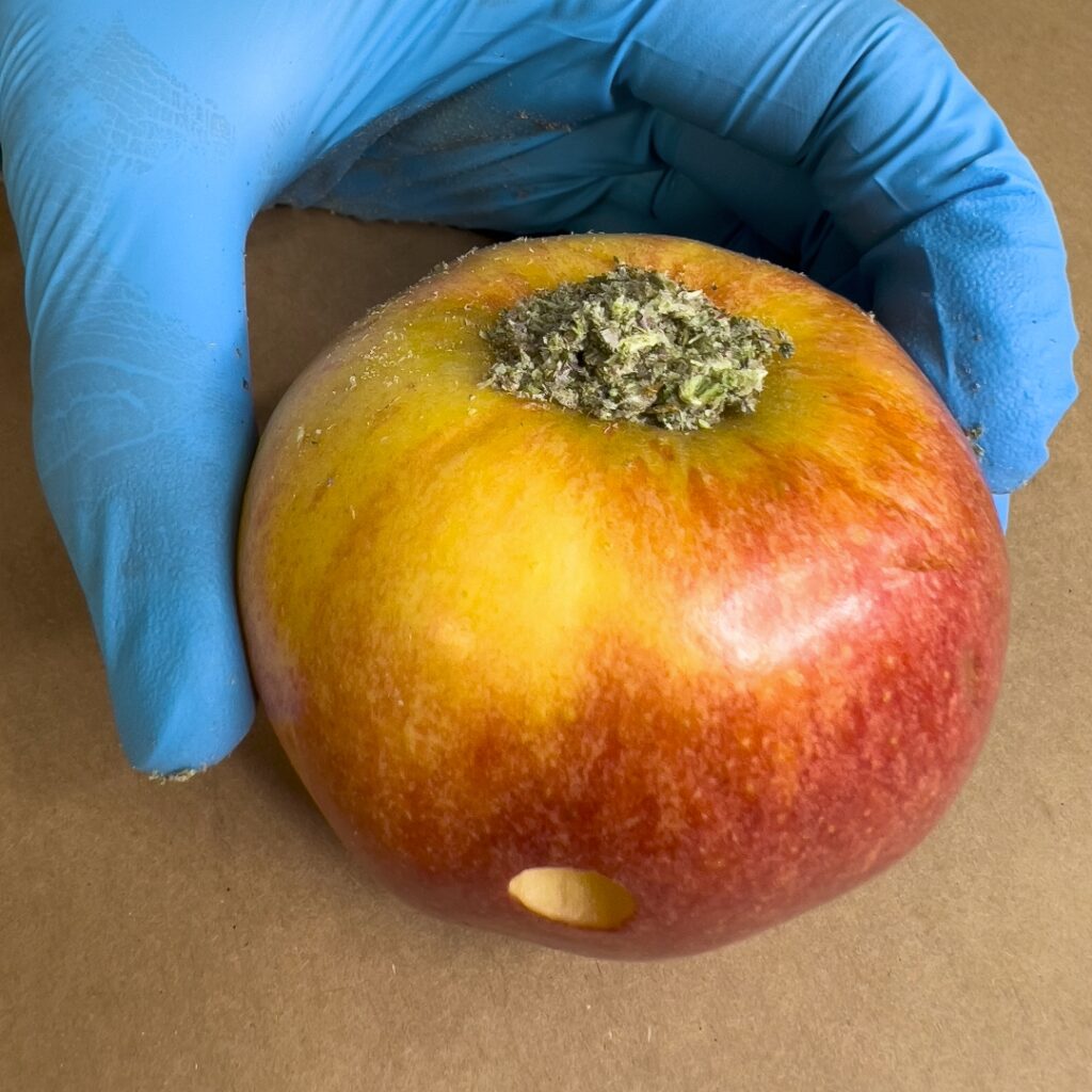 "Packed bowl in an apple pipe"