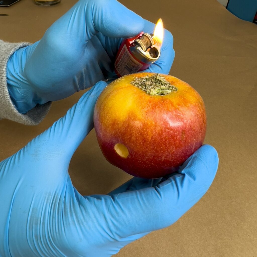 "Lighting up a Packed bowl in an apple pipe"