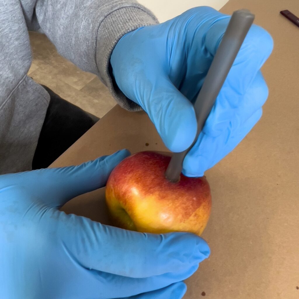 "How to Make an Apple Pipe"