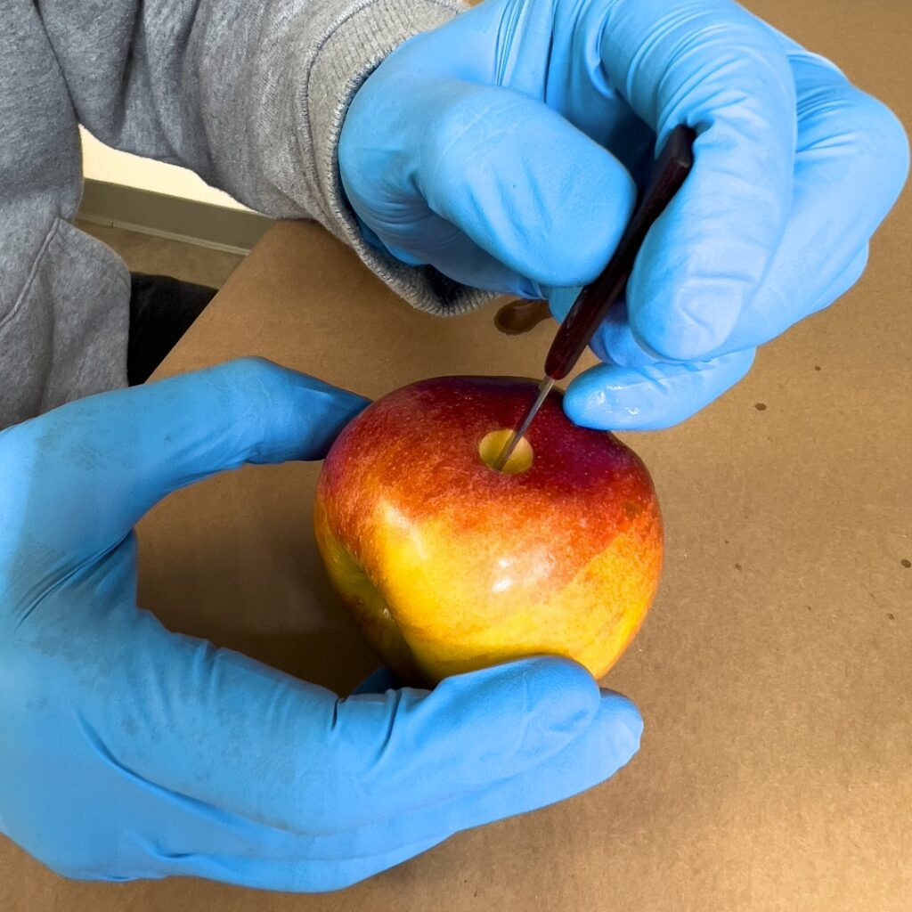 "How to Make an Apple Pipe"