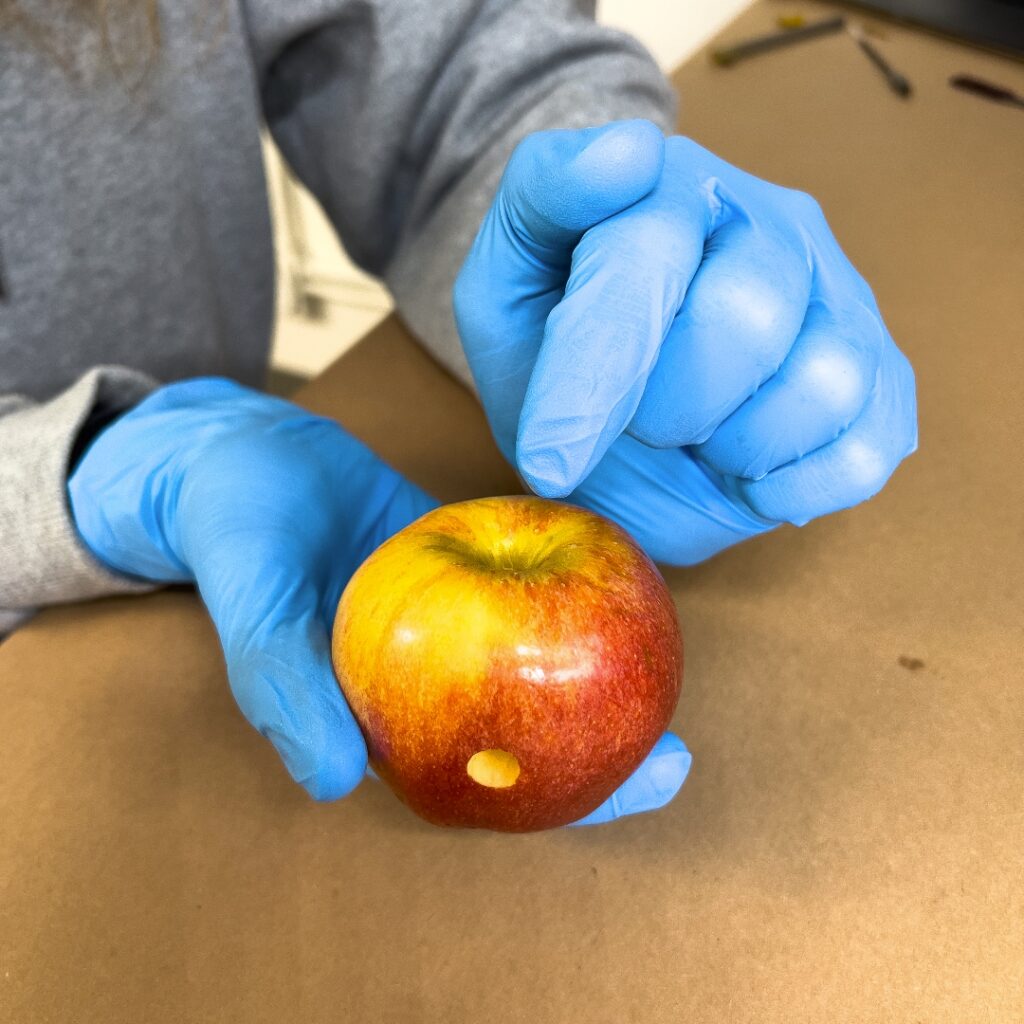 "How to Make an Apple Pipe"