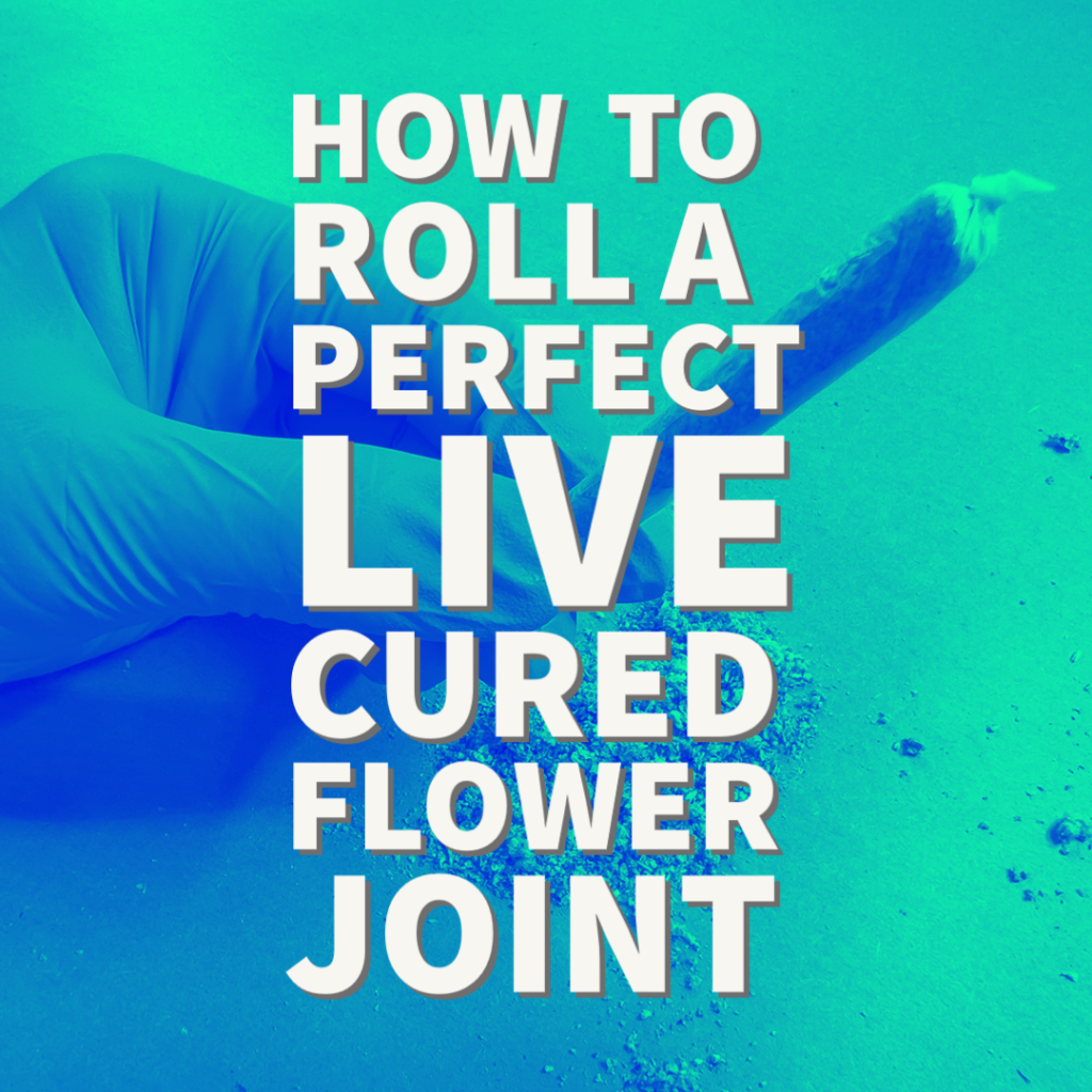 "How to roll a perfect live cured flower joint"