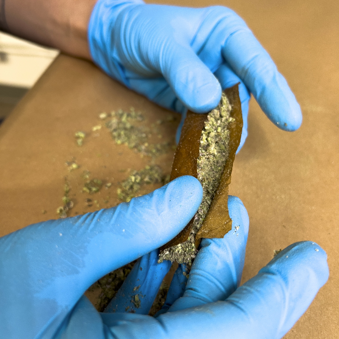 How to Roll a Perfect Live Cured Flower Blunt Curated Cannabis