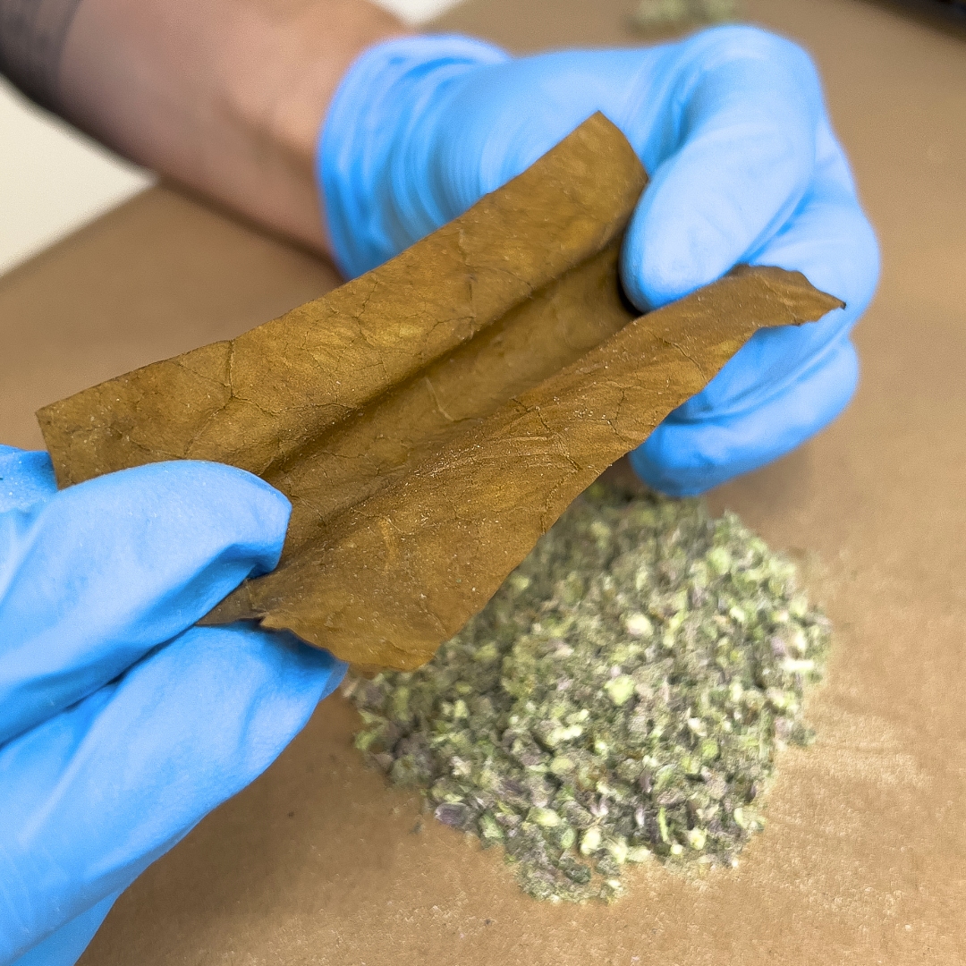 How to Roll a Perfect Live Cured Flower Blunt Curated Cannabis