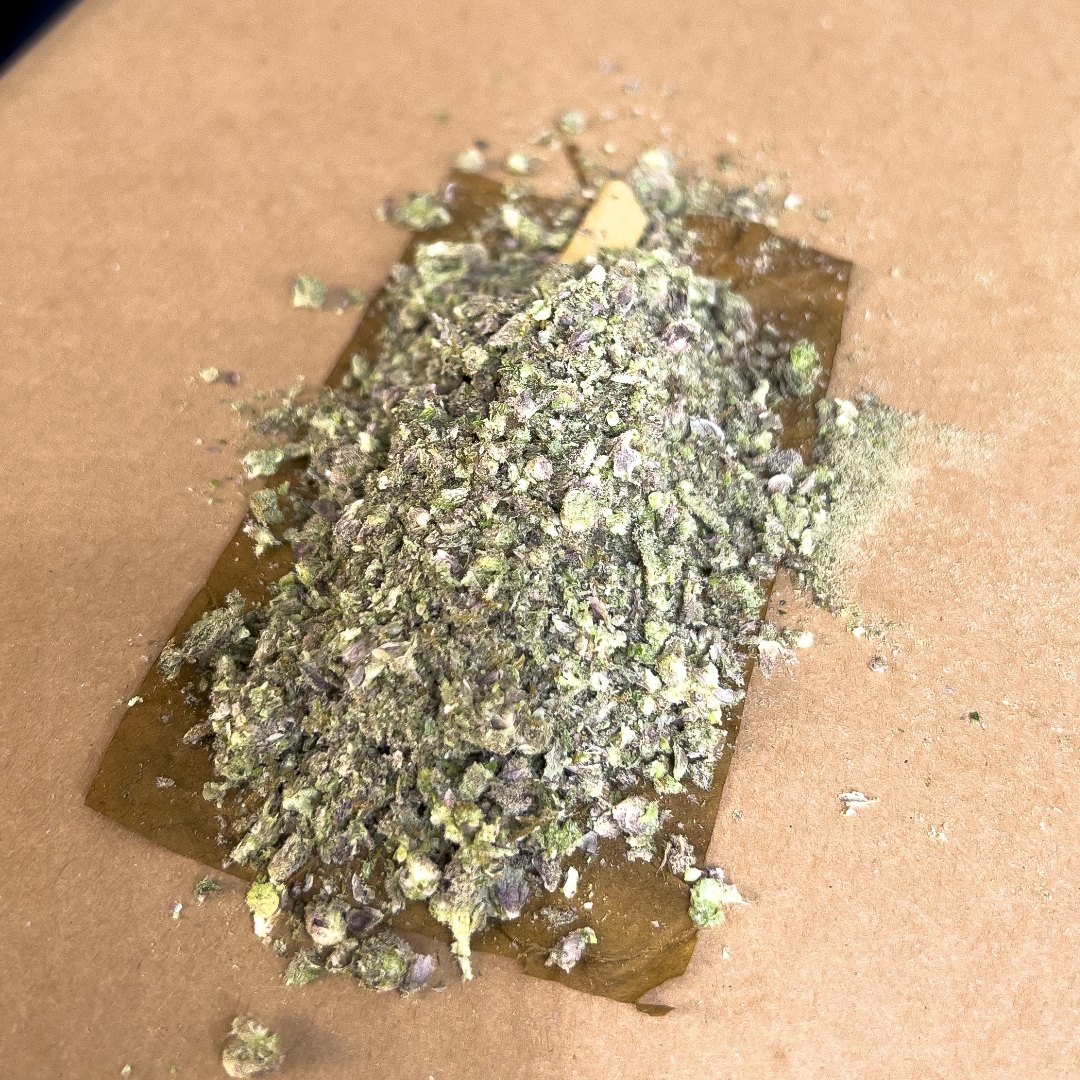 How to Roll a Perfect Live Cured Flower Blunt Curated Cannabis