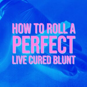 "How to roll a perfect Live cured flower blunt"