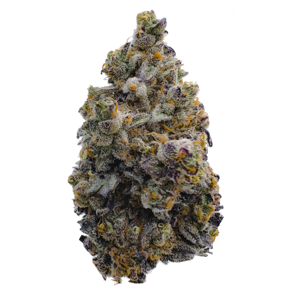 "Sour Cream Cultivar Live Cured Flower profile"