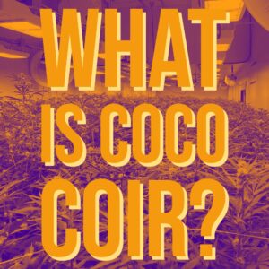 "What is Coco Coir"