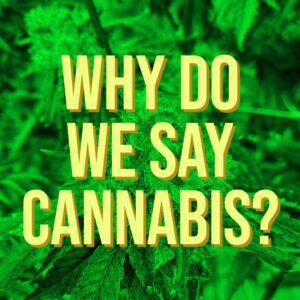 "Why do we say cannabis?"