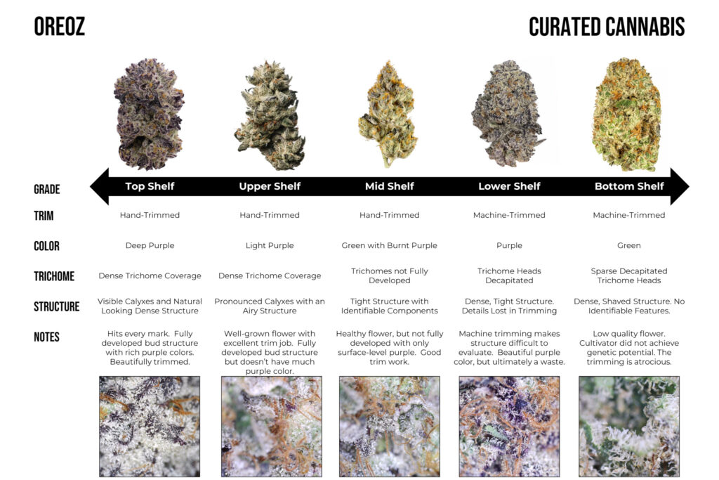 "Comparing buds of the Oreoz cultivar"