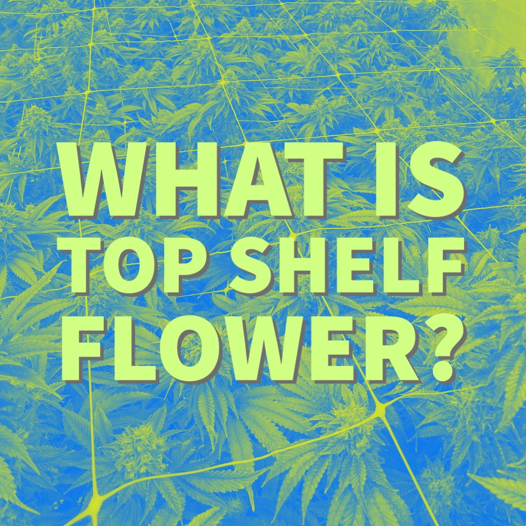 What Is Top Shelf Flower? Curated Cannabis