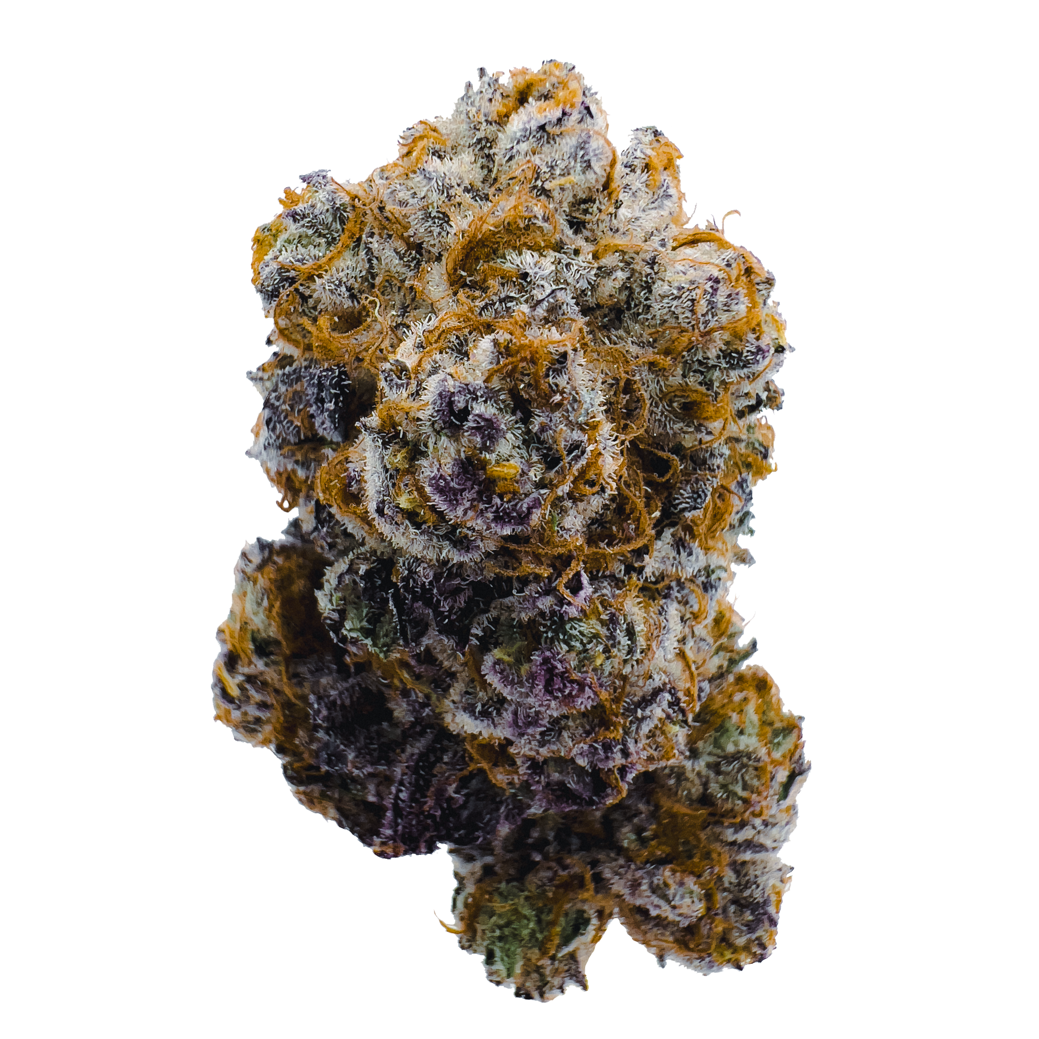 Cookies Hybrid Hydro